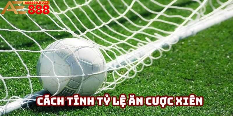 Cách tính tỷ lệ cược xiên là gì