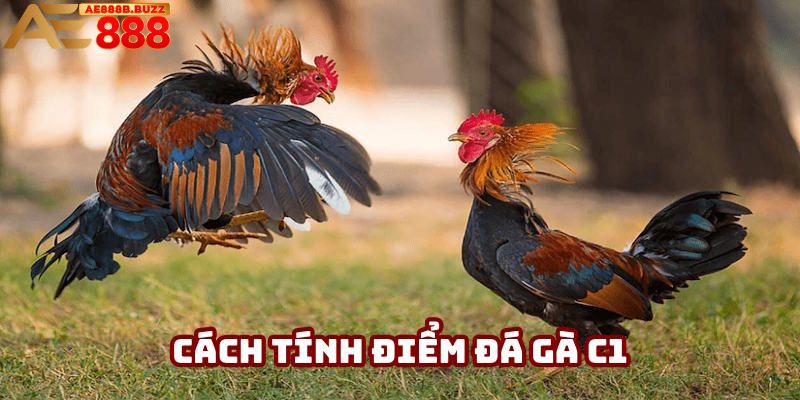 Cách thức tính điểm theo trường hợp Đá gà C1