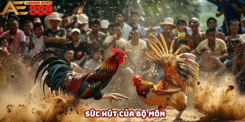 Sức hút của bộ môn