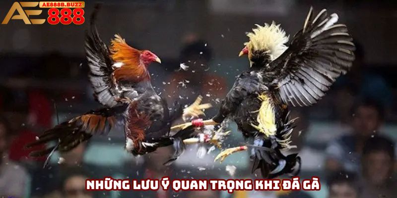Bỏ túi những lưu ý quan trọng