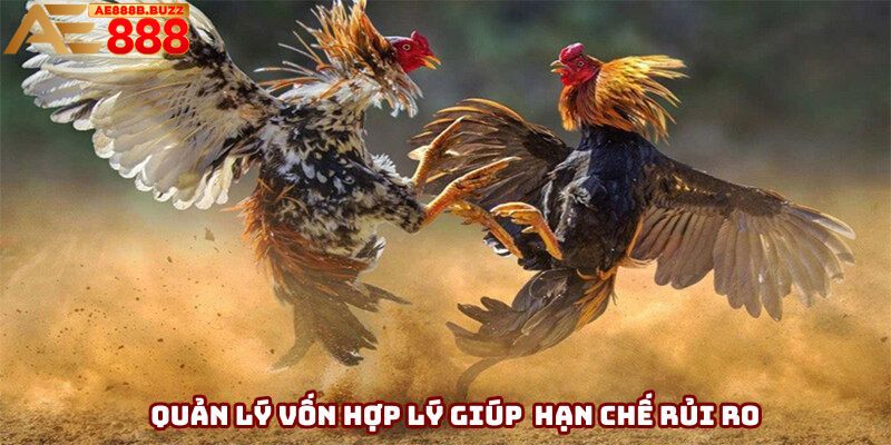 Quản lý vốn hợp lý giúp người chơi hạn chế rủi ro