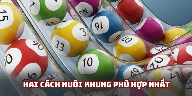 Hướng dẫn hội viên hai cách nuôi khung đánh dàn đề cơ bản cơ bản