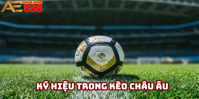 Ký hiệu cần nhớ khi cá độ 1x2