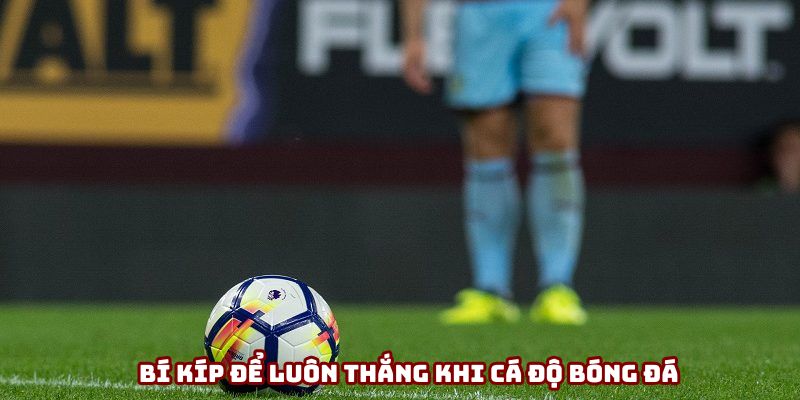 Bỏ túi một vài bí kíp để luôn thắng khi cá độ bóng đá