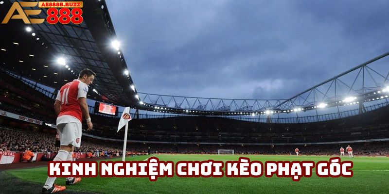 Mẹo cược tỷ lệ thắng cao nên tham khảo