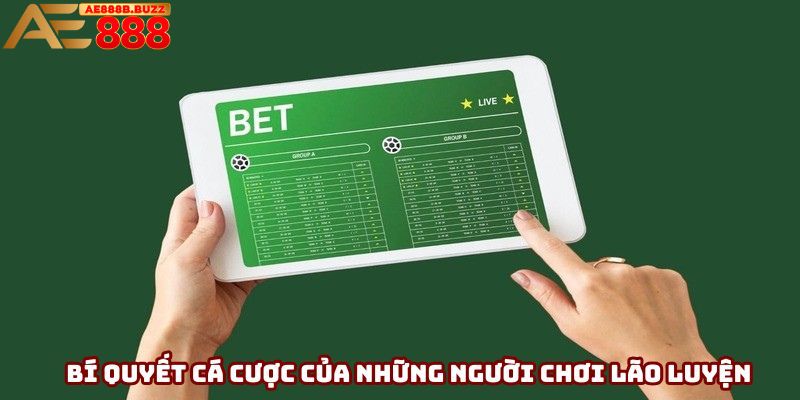 Bí quyết cá cược của những người chơi lão luyện