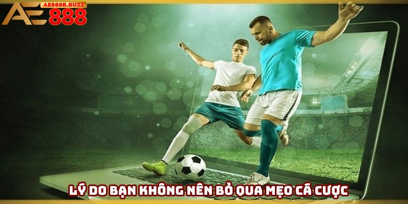 Lý do bạn không nên bỏ qua mẹo cá cược bóng đá