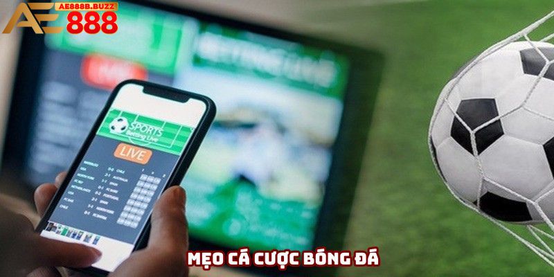 Những hình thức cá cược bạn nên biết